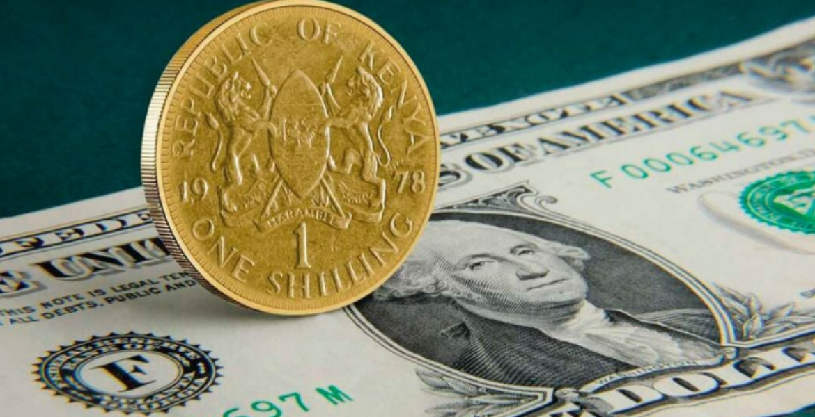How You can Take Advantage of the Kenyan Shilling Surge