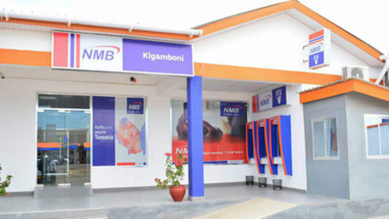 NMB Tanzania Loan Portfolio Hits TZS 7.9 Trillion Mark in Q1 2024