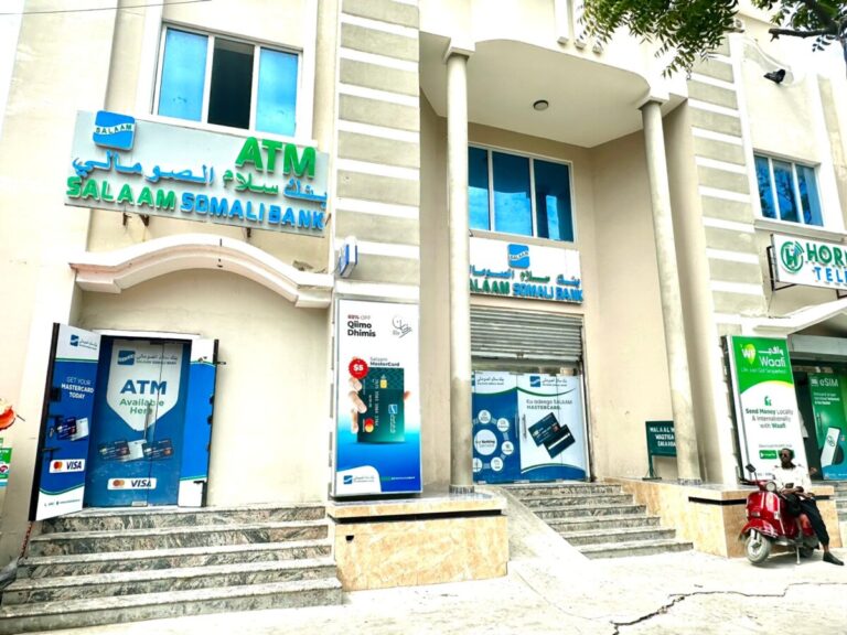 Somalia Banking Industry