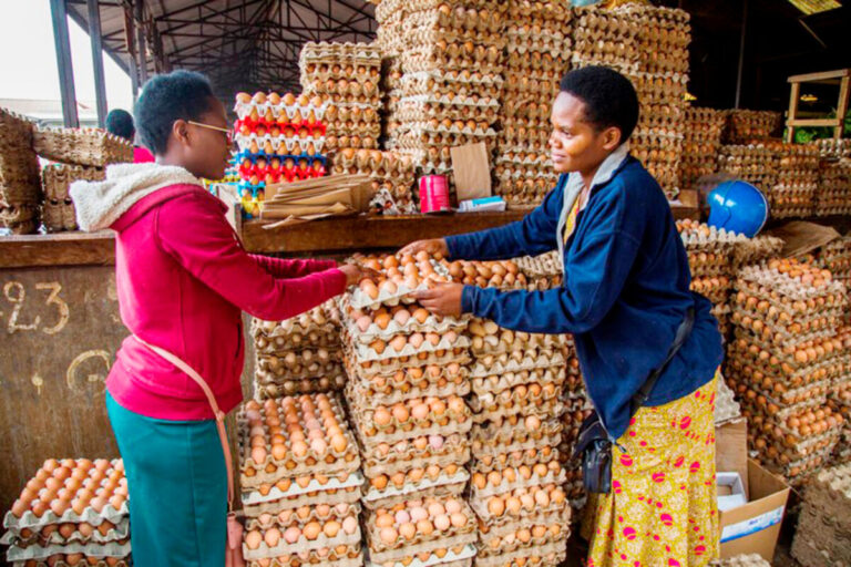 New Tanzania Secured Transactions Bill